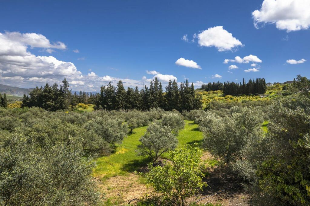 Finca - Cortijo Alhaurín el Grande Málaga - image 22