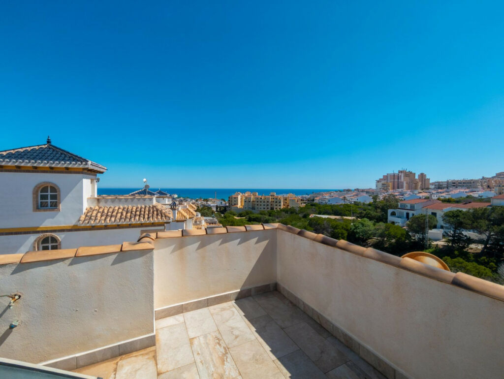 Detached Villa La Mata Alicante - image 23
