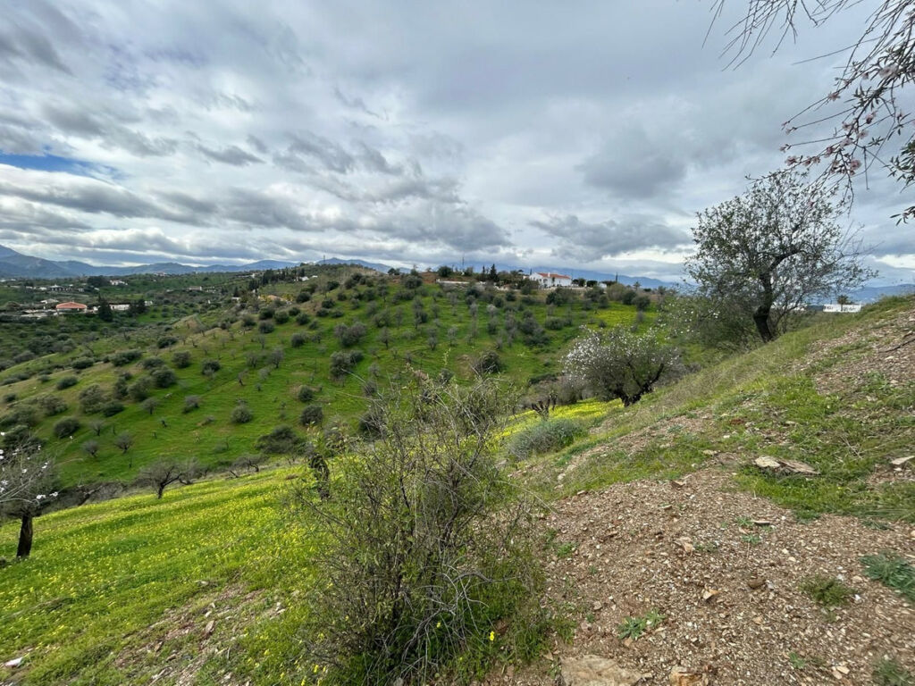 Finca - Cortijo Guaro Málaga - image 14