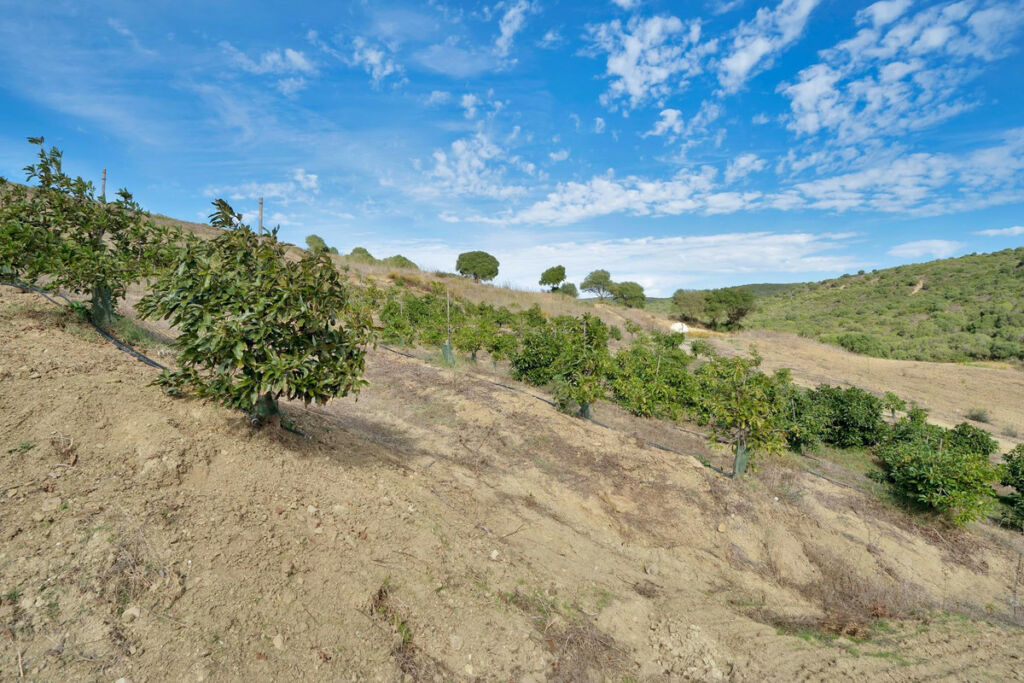 Land Manilva Málaga - image 24