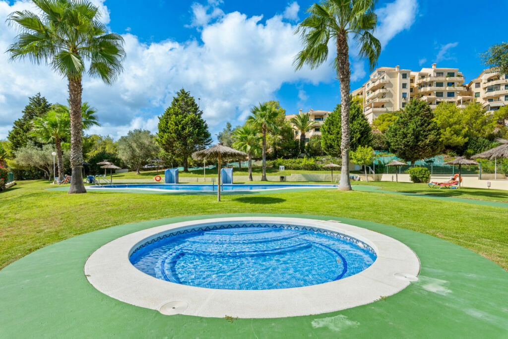 Penthouse Campoamor Alicante - image 25