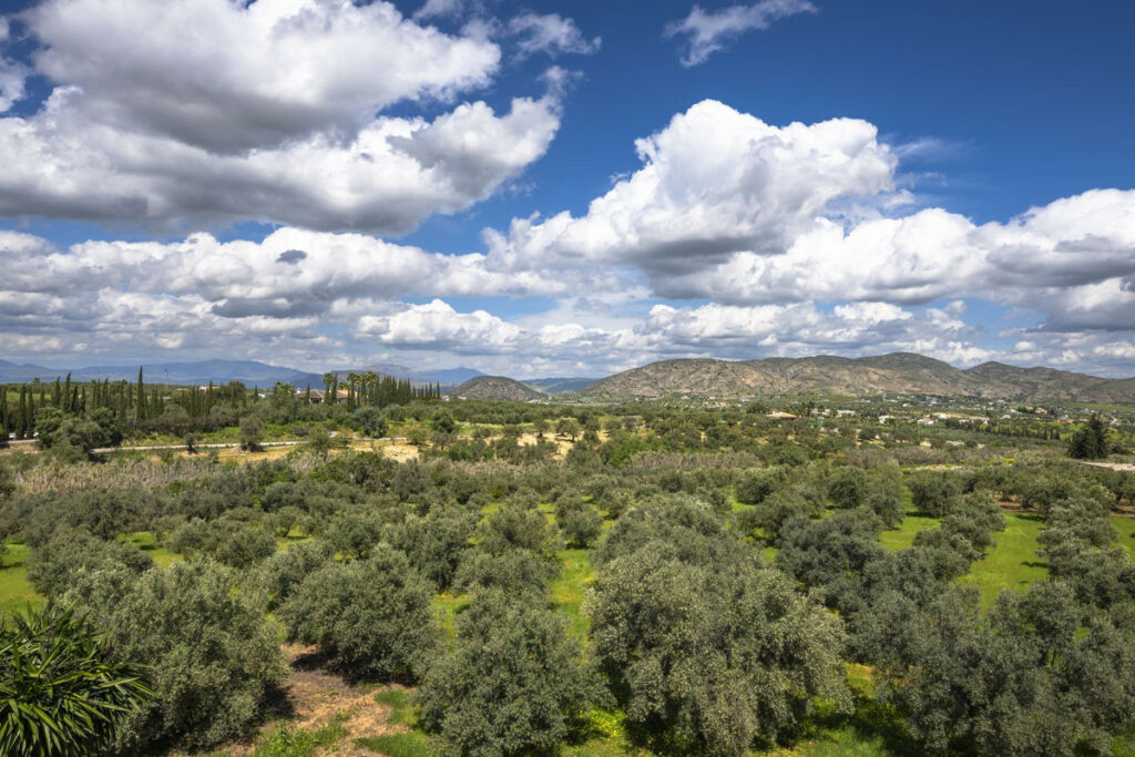 Finca - Cortijo Alhaurín el Grande Málaga - image 25