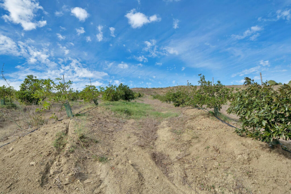 Land Manilva Málaga - image 25