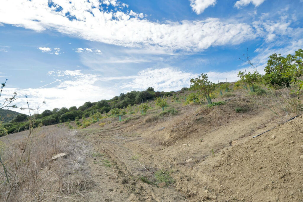 Land Manilva Málaga - image 26