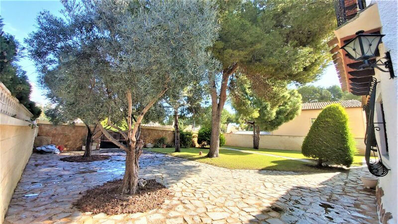 Detached Villa Torrevieja Alicante - image 27