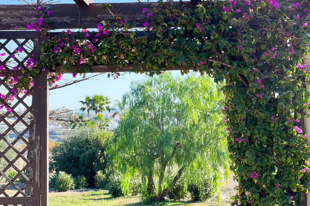 Detached Villa Estepona Málaga - image 27