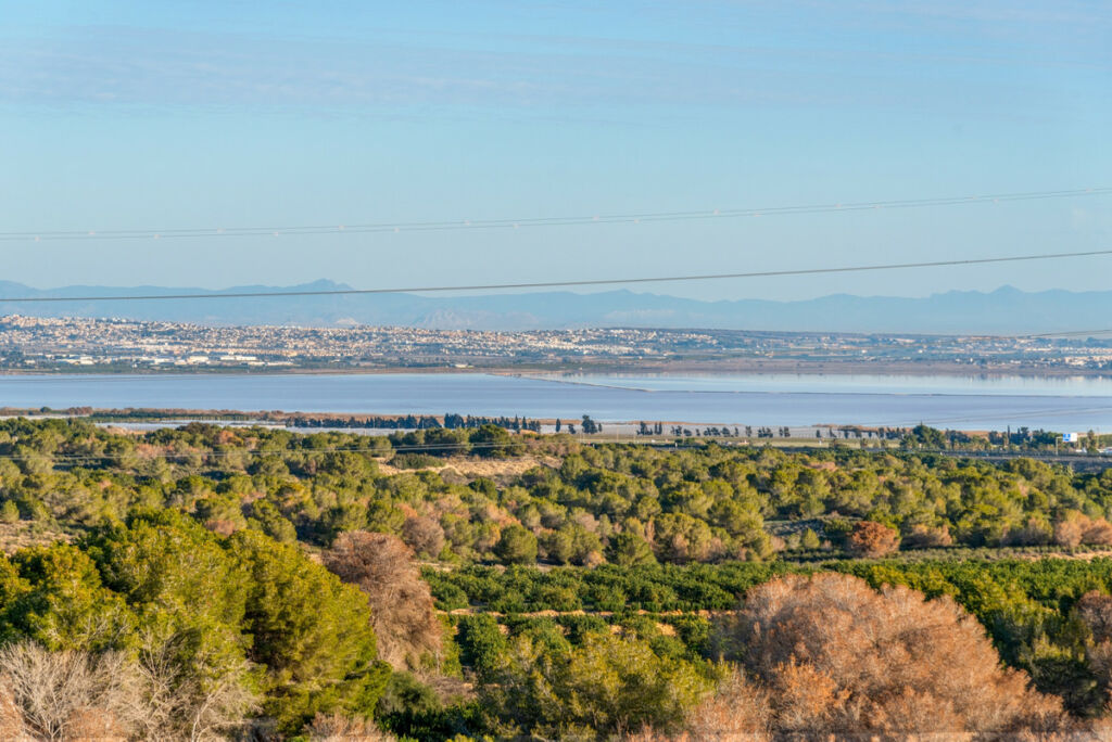 Detached Villa Villamartin Alicante - image 26
