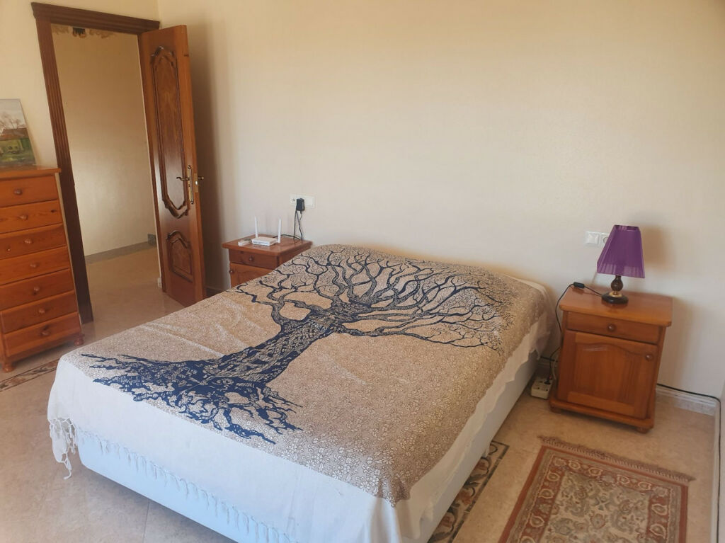 Detached Villa Algorfa Alicante - image 27