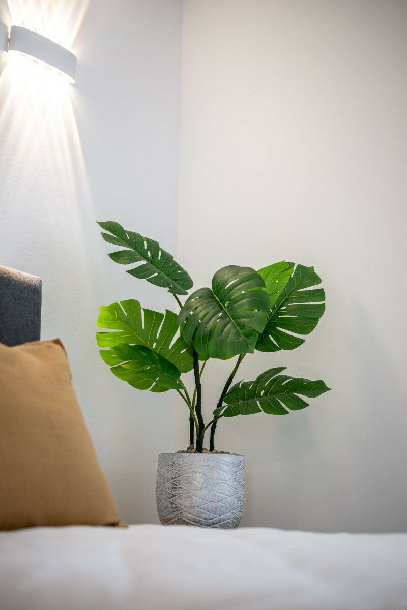 Ground Floor Apartment Punta Prima Alicante - image 21