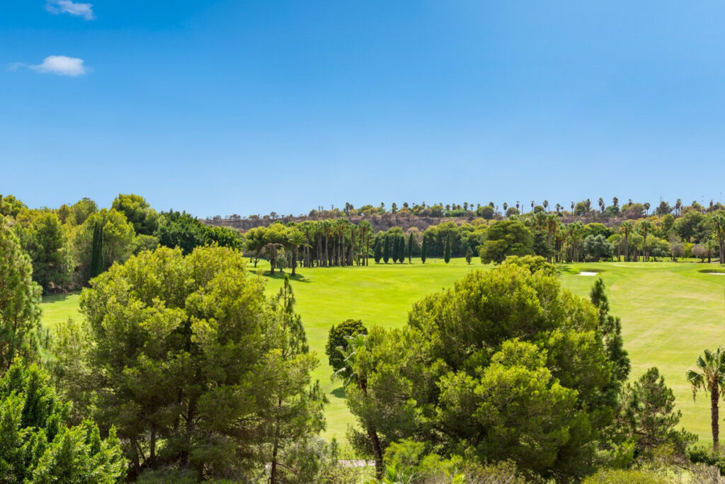 Penthouse Campoamor Alicante - image 27
