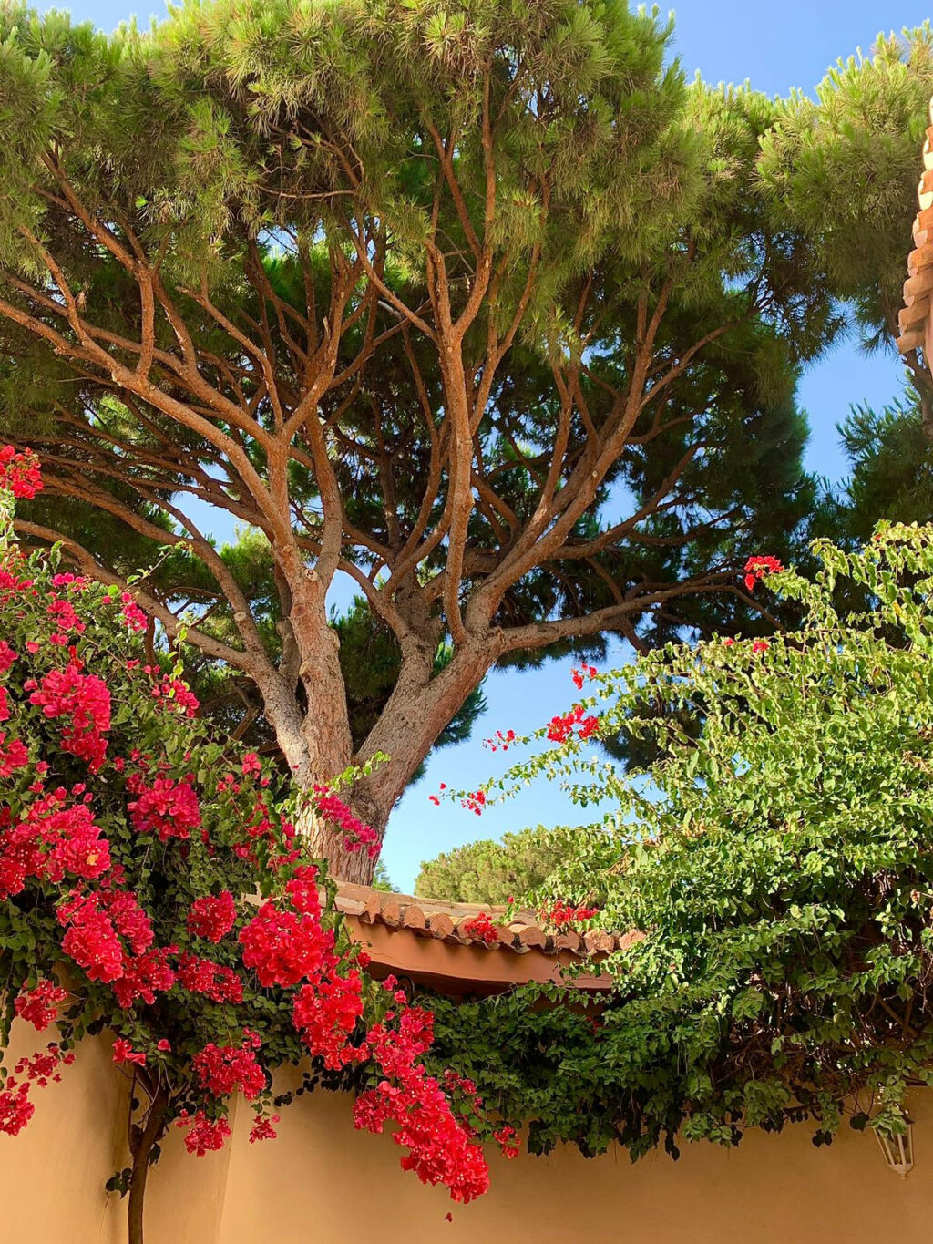 Detached Villa Calahonda Málaga - image 28