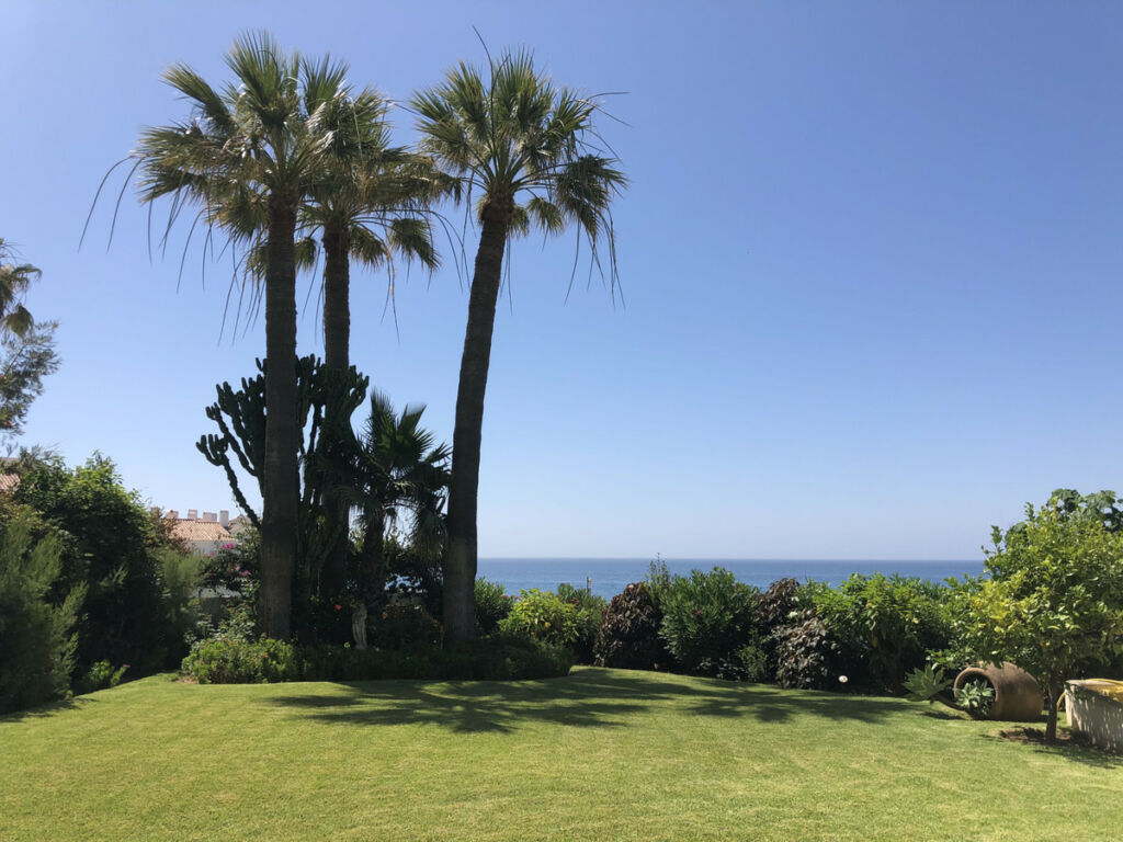 Detached Villa Calahonda Málaga - image 29