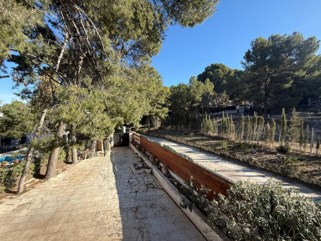 Finca - Cortijo Elda Alicante - image 3