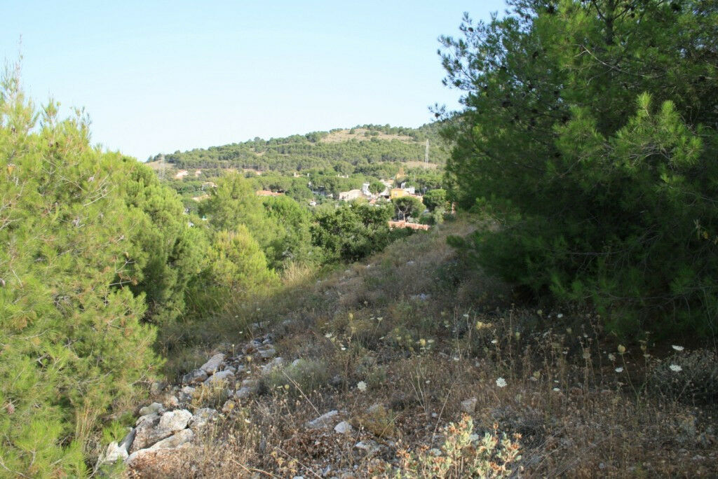 Residential Plot Alhaurín de la Torre Málaga - image 3