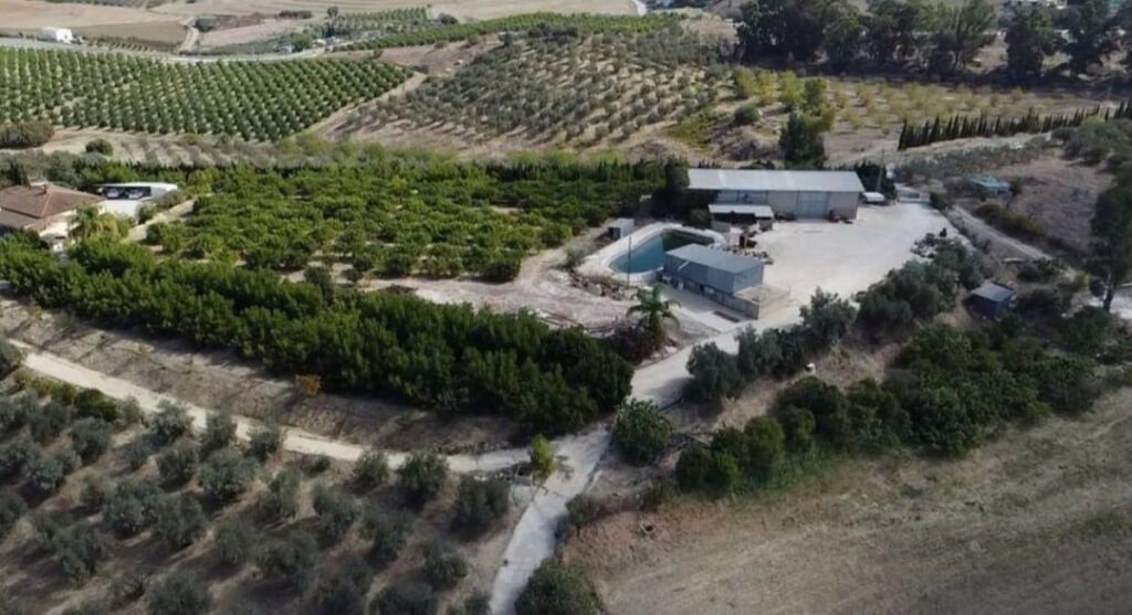 Finca - Cortijo Alhaurín el Grande Málaga - image 3