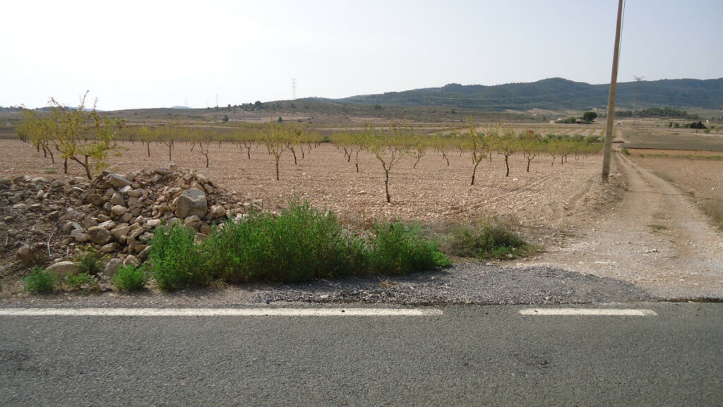 Land Cañada del Trigo Murcia - image 3