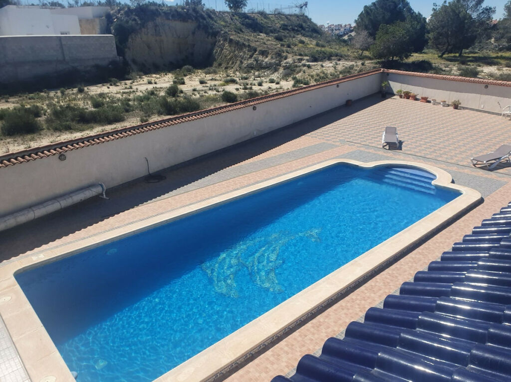 Detached Villa Algorfa Alicante - image 3