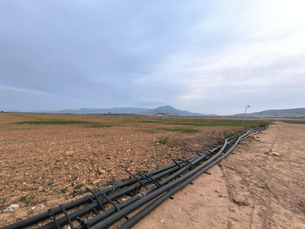 Land Yecla Murcia - image 3