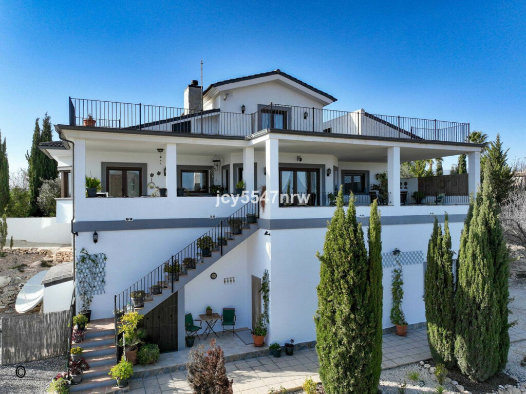 Detached Villa Pinoso Alicante - image 3