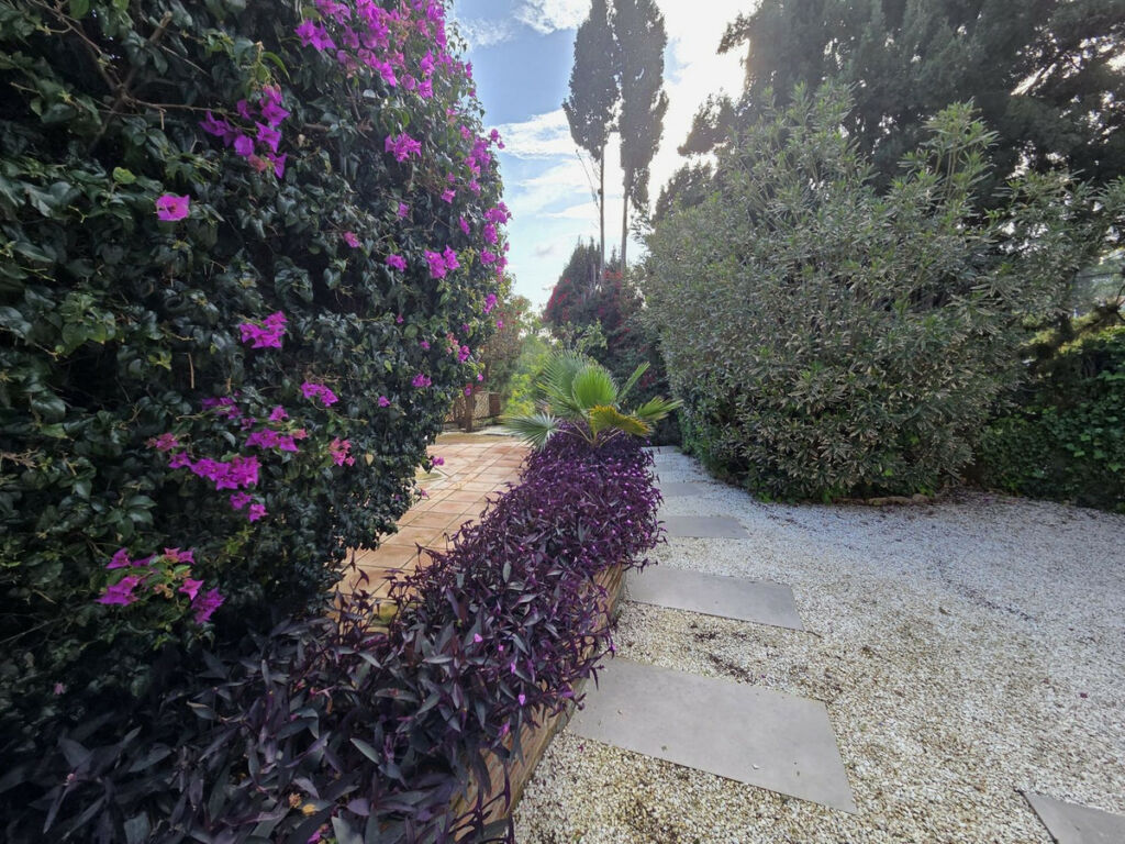 Detached Villa Campo Mijas Málaga - image 3
