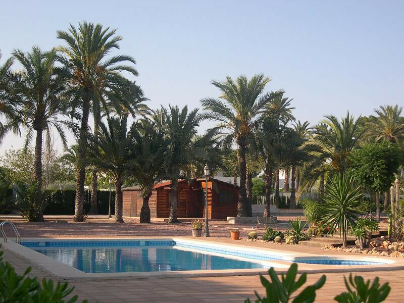 Detached Villa Elche Alicante - image 12