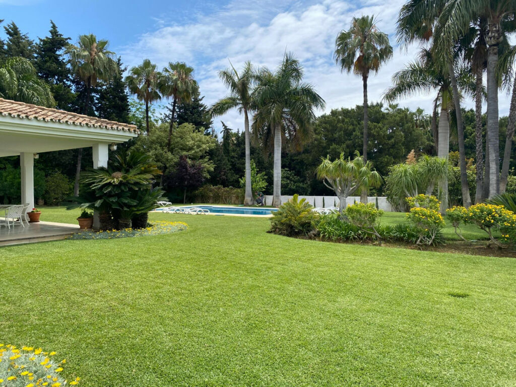 Detached Villa Guadalmina Baja Málaga - image 3