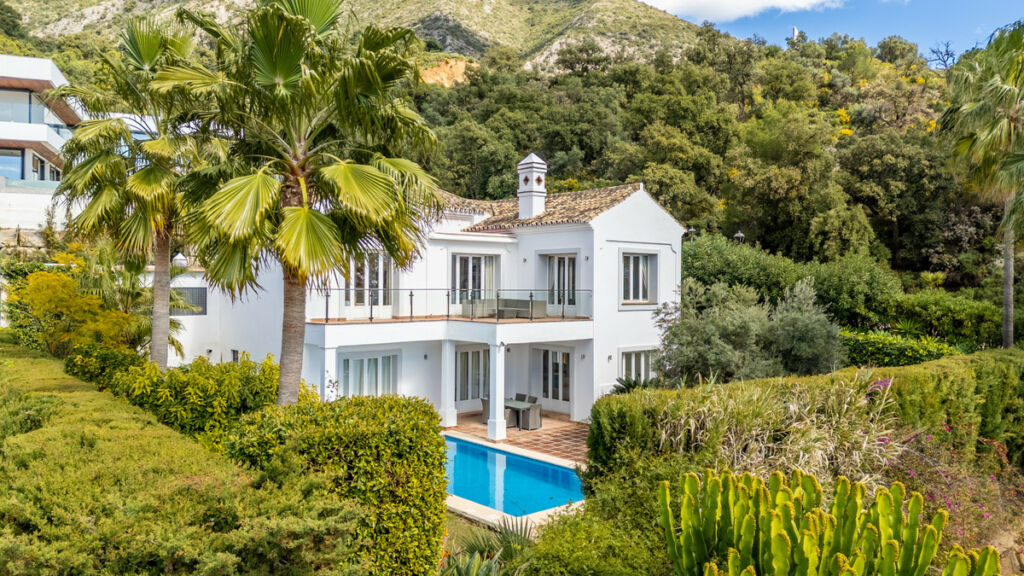 Detached Villa Istán Málaga - image 3