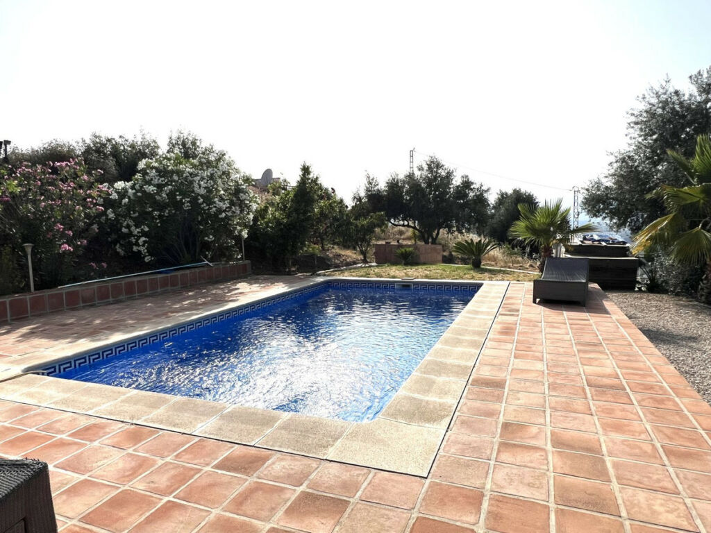 Detached Villa Canillas de Aceituno Málaga - image 3