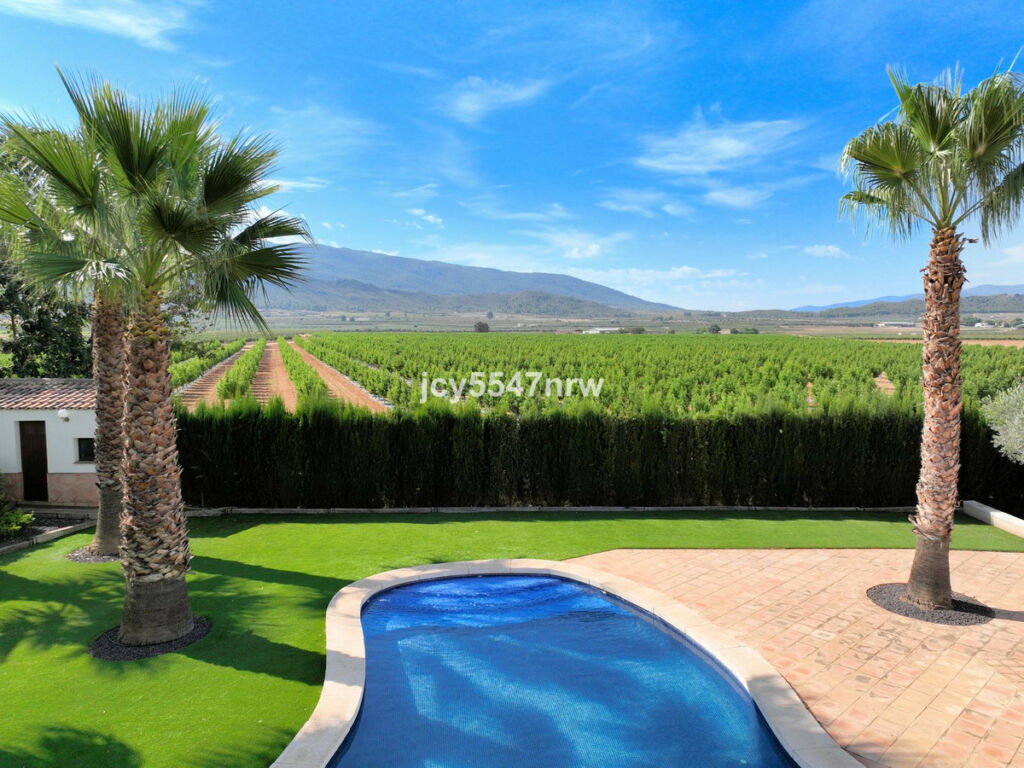 Finca - Cortijo Yecla Murcia - image 3