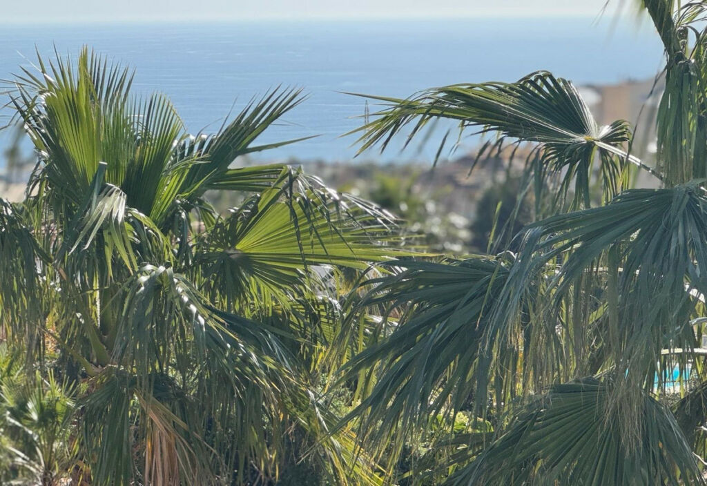 Detached Villa Fuengirola Málaga - image 27