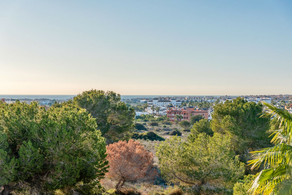 Detached Villa Villamartin Alicante - image 31