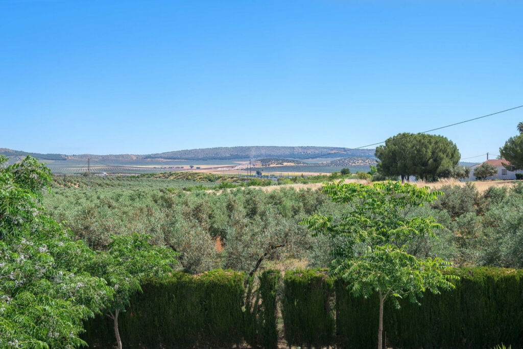 Detached Villa Antequera Málaga - image 32