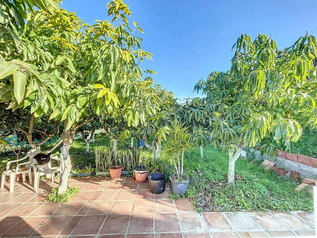 Semi-Detached House Benamargosa Málaga - image 33