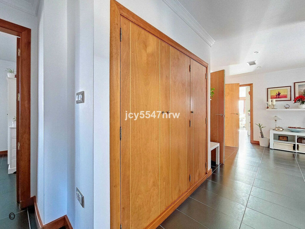 Detached Villa Pinoso Alicante - image 34