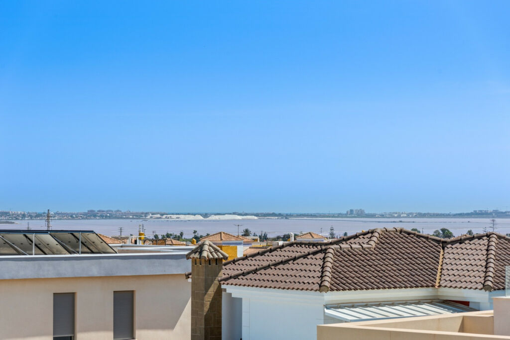 Detached Villa Los Montesinos Alicante - image 33