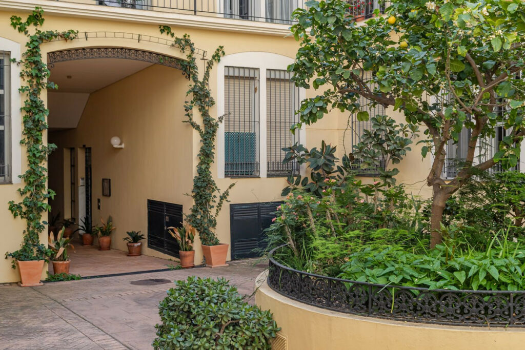Middle Floor Apartment Málaga Centro Málaga - image 36