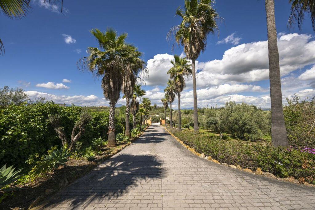 Finca - Cortijo Alhaurín el Grande Málaga - image 37