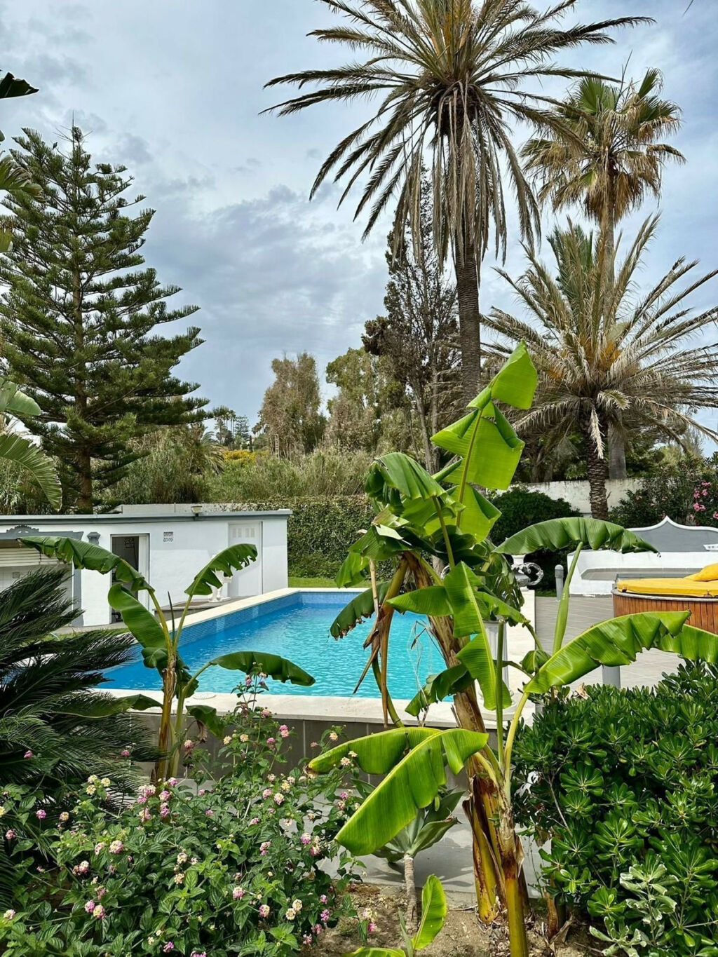 Detached Villa Estepona Málaga - image 37