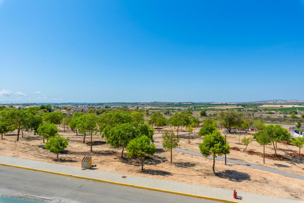 Detached Villa Benijofar Alicante - image 38
