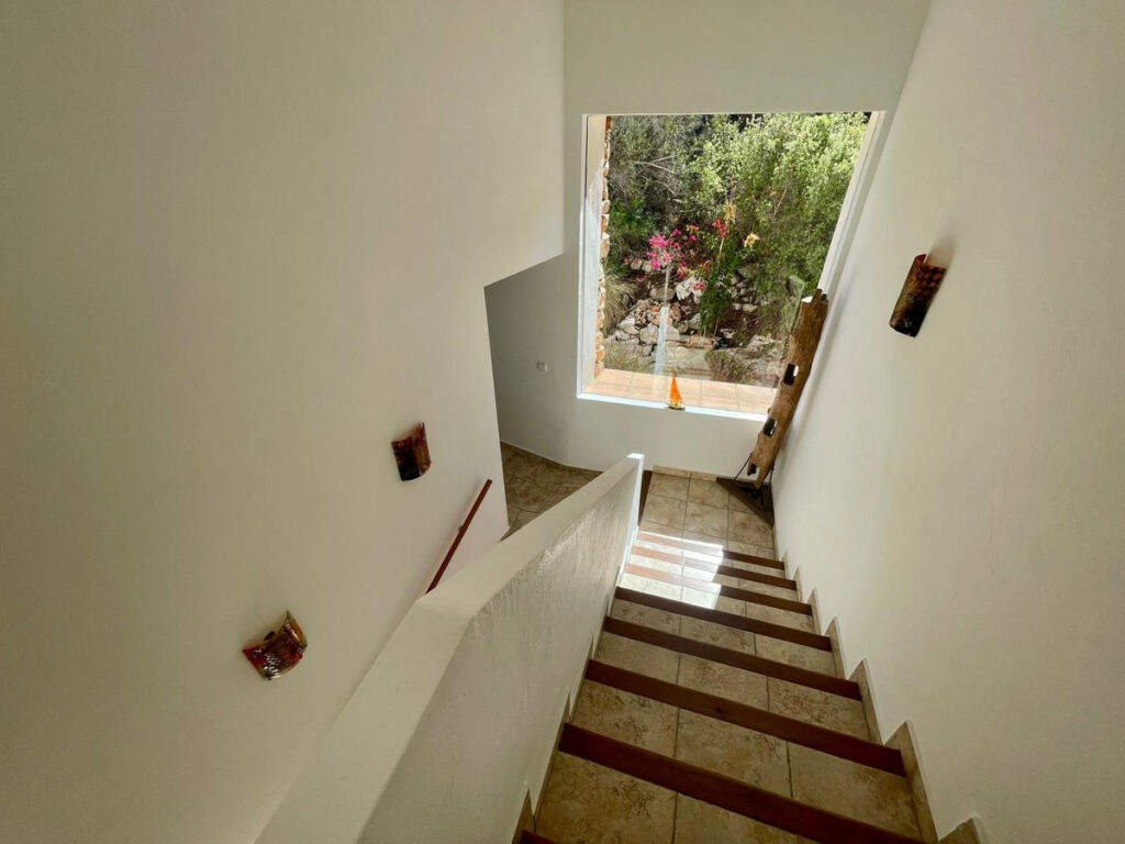 Detached Villa El Portet Alicante - image 38