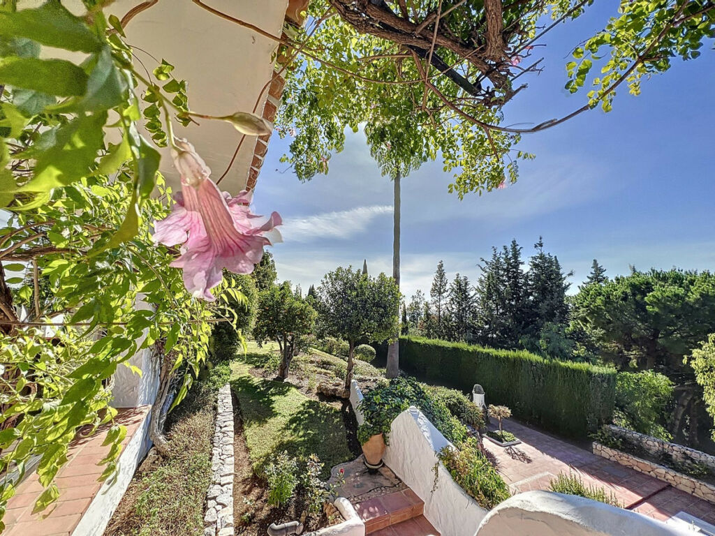 Detached Villa Mijas Málaga - image 39