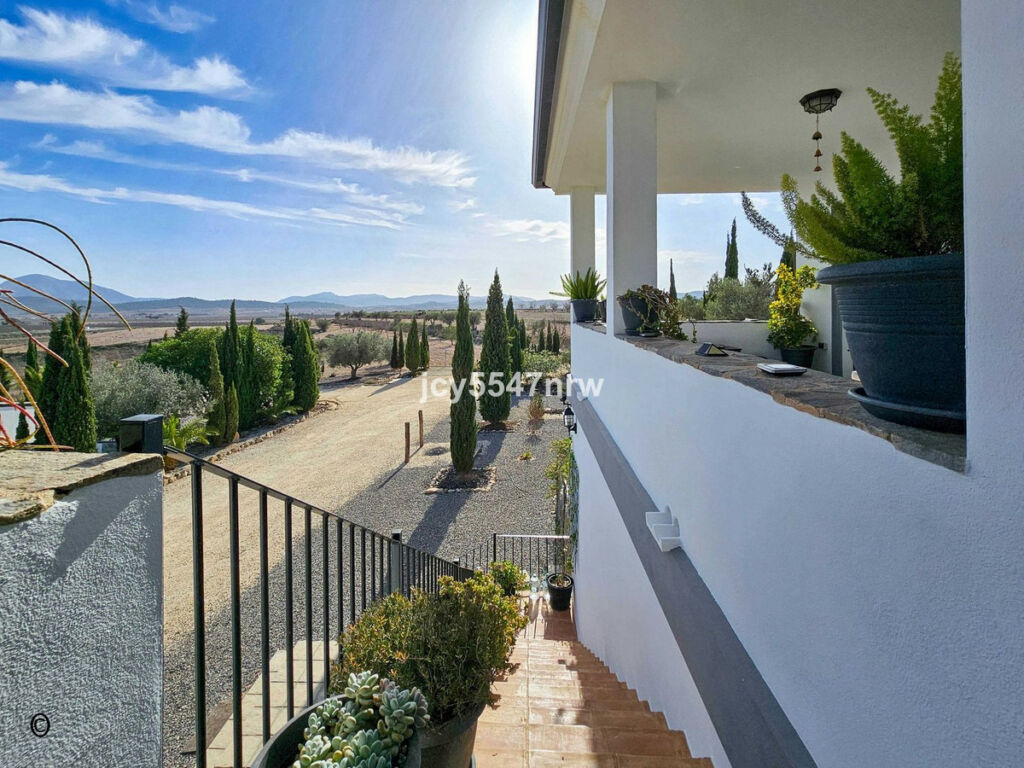 Detached Villa Pinoso Alicante - image 39