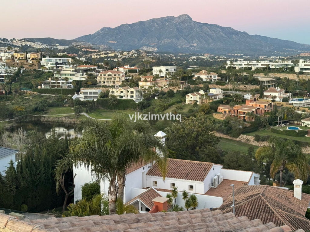 Detached Villa Benahavís Málaga - image 47