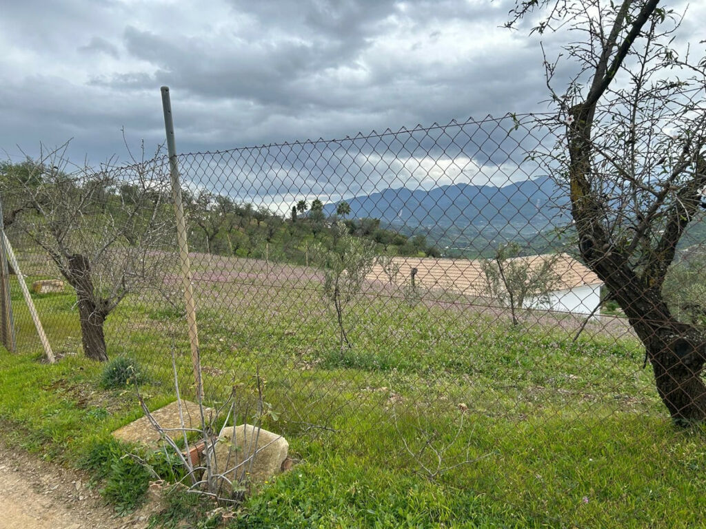Finca - Cortijo Guaro Málaga - image 16
