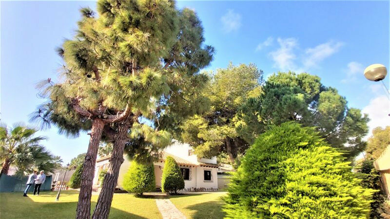 Detached Villa Torrevieja Alicante - image 4