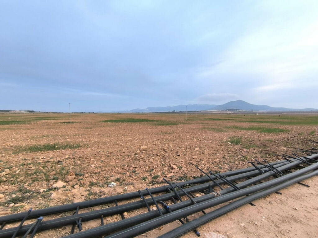 Land Yecla Murcia - image 4
