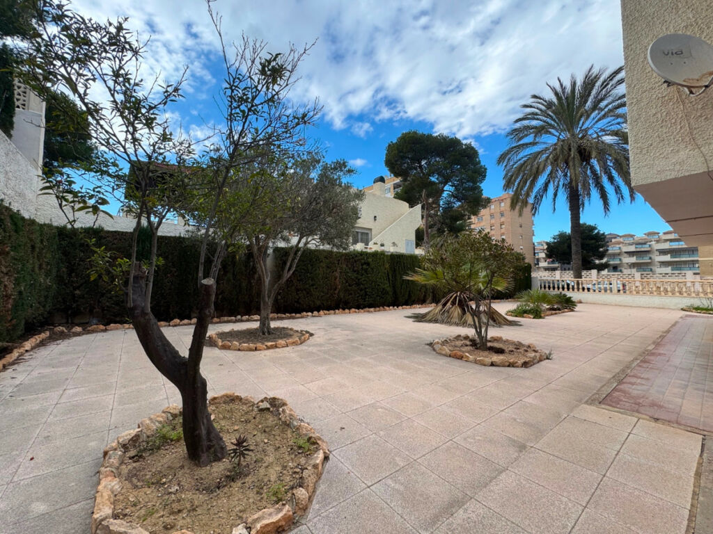 Detached Villa La Zenia Alicante - image 8