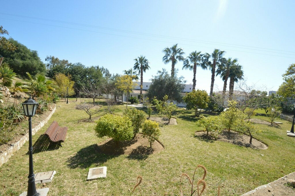 Detached Villa Benalmadena Málaga - image 4