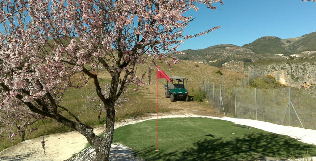 Detached Villa Alozaina Málaga - image 4