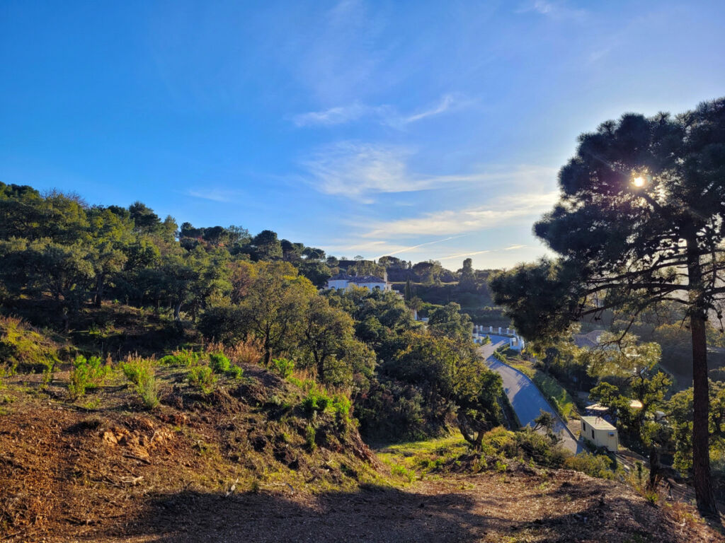 Land La Zagaleta Málaga - image 4